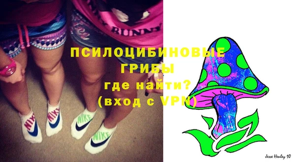 амфетамин Елизово