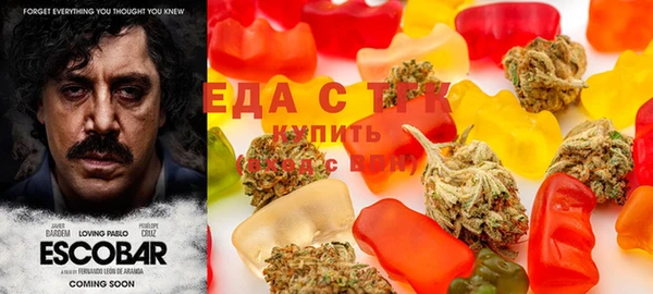 амфетамин Елизово