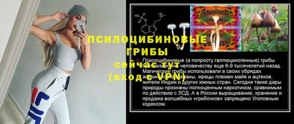 тгк Елабуга